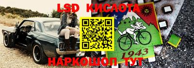 наркотики Кингисепп