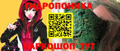 наркотики Кингисепп