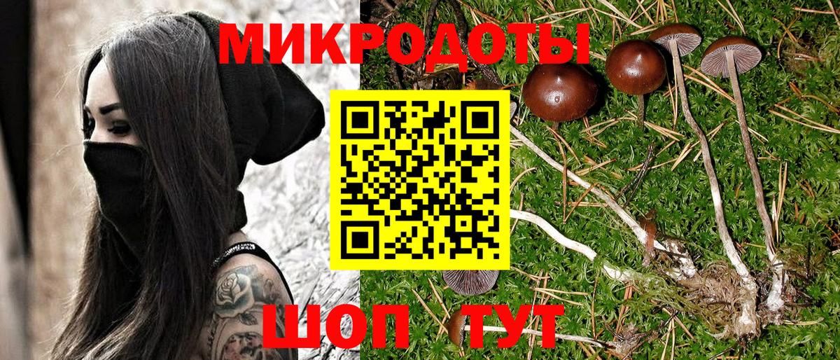 Псилоцибиновые грибы Cubensis Кирово-Чепецк