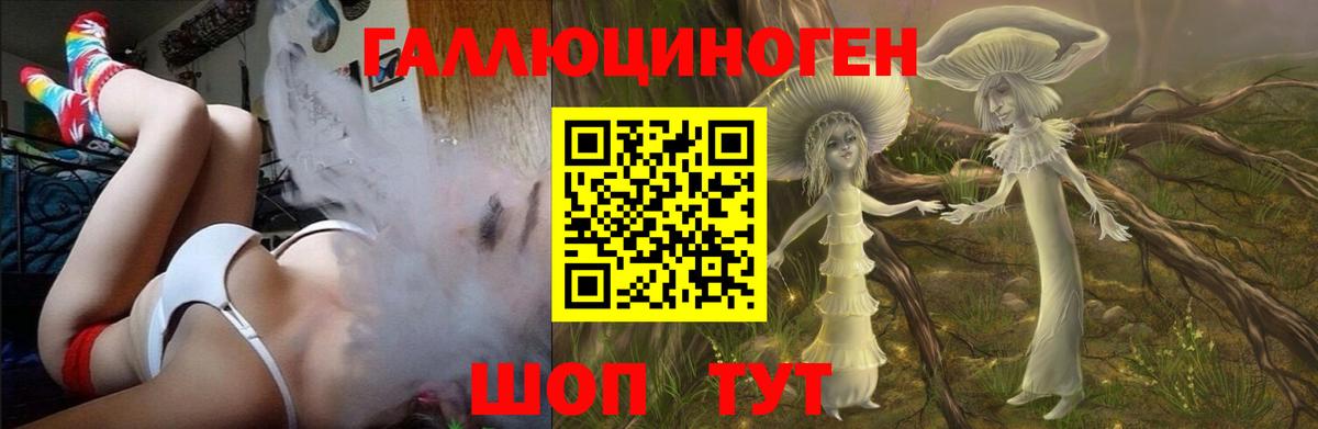 магазин    Псилоцибиновые грибы мицелий  Вход с VPN  Кирово-Чепецк 